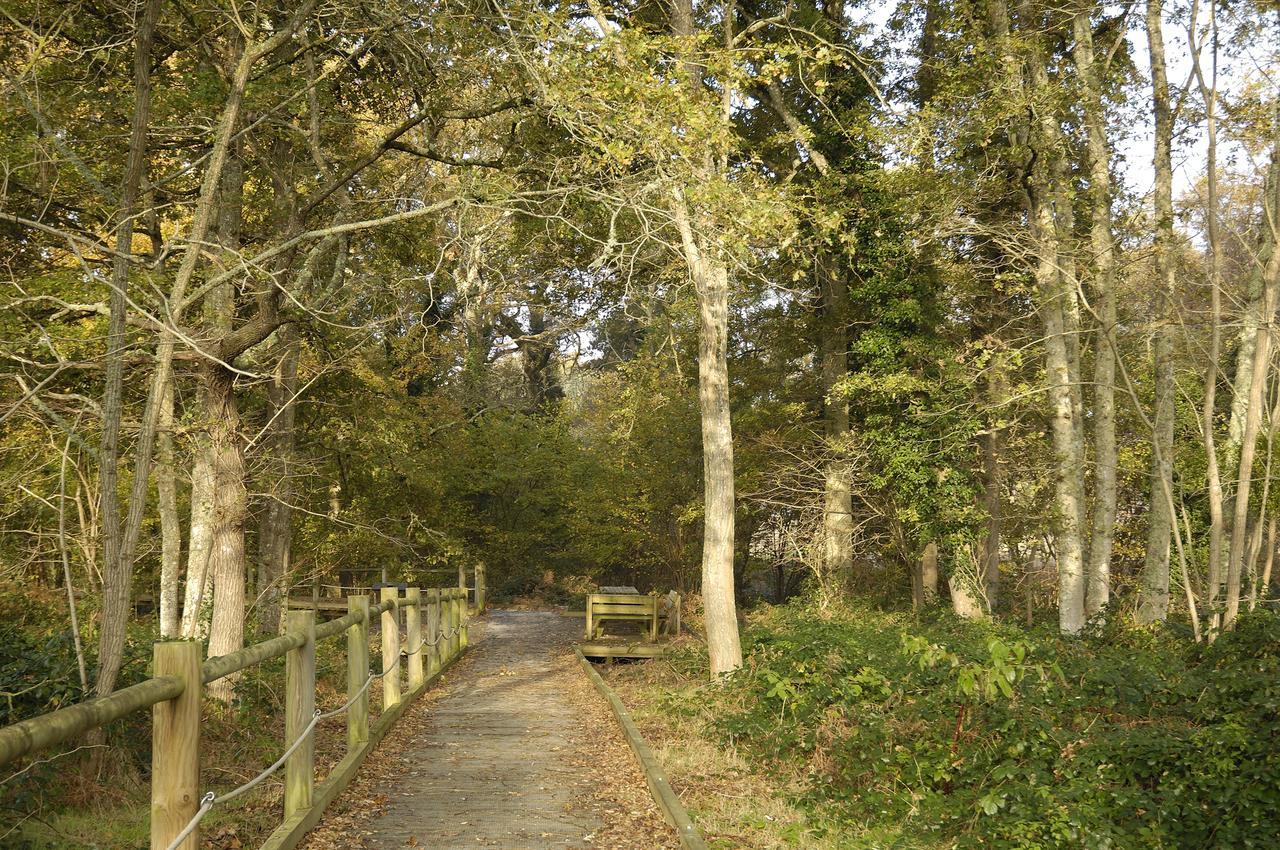 Domaine De Mont-Evray Ξενοδοχείο Nouan-le-Fuzelier Εξωτερικό φωτογραφία